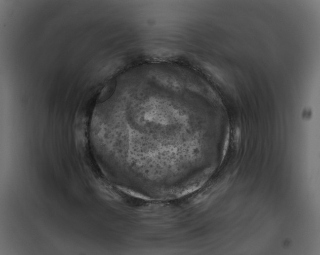 X0000101091346200807171838