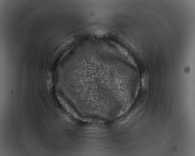 X0000101091347200807171838