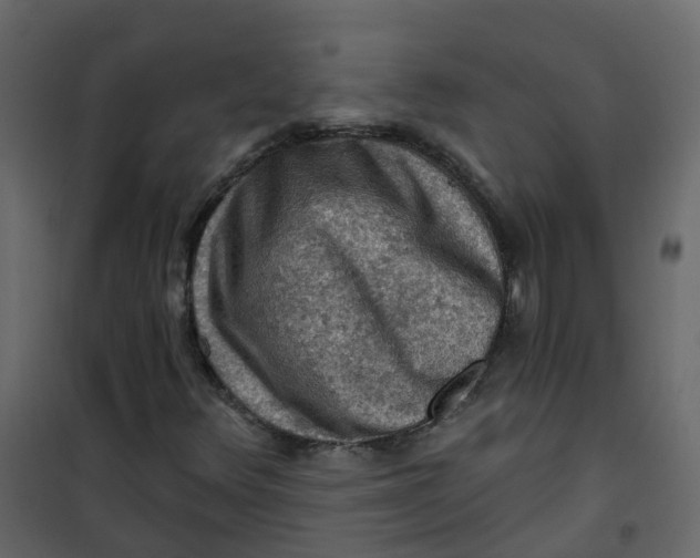 X0000101091348200807171838