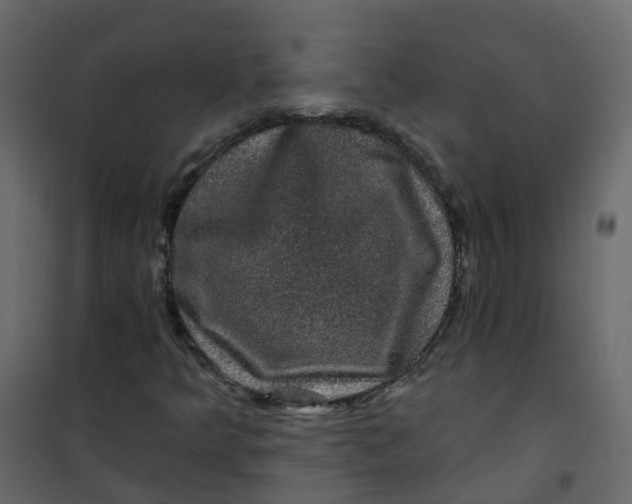 X0000101091349200807171838