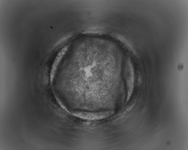 X0000101091350200807171838