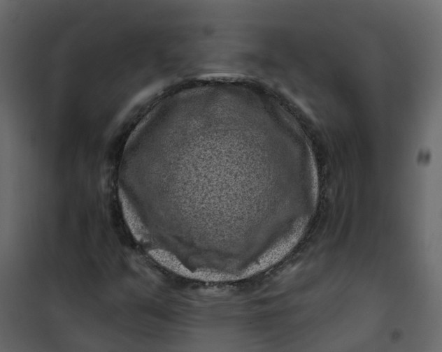 X0000101091351200807171838