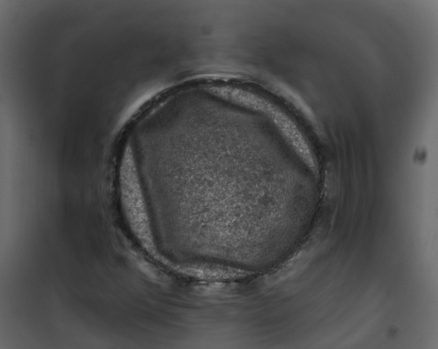 X0000101091352200807171838