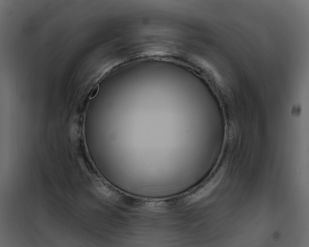 X0000101091353200807171838