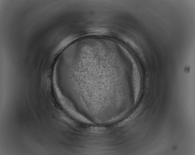 X0000101091354200807171838