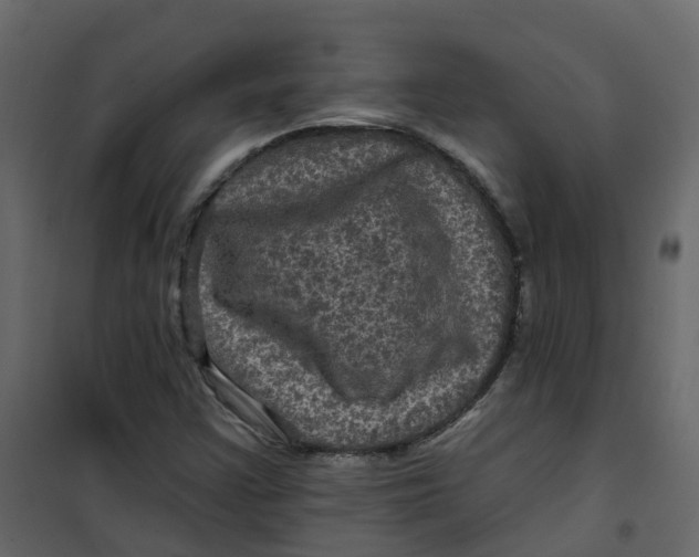 X0000101091355200807171838