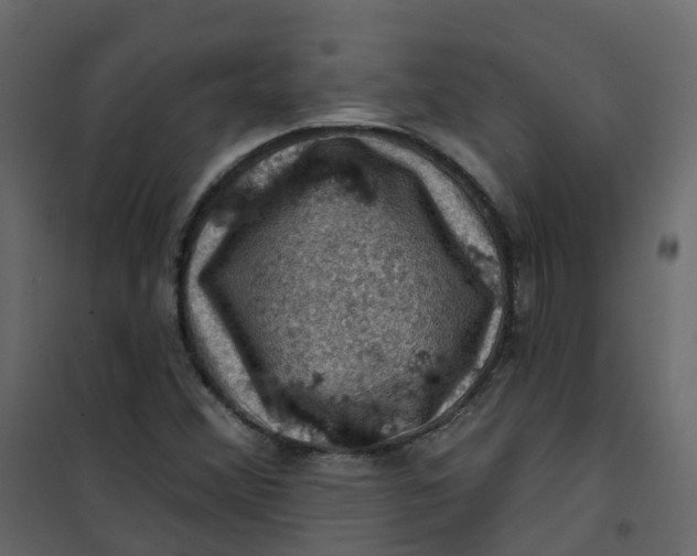 X0000101091356200807171838