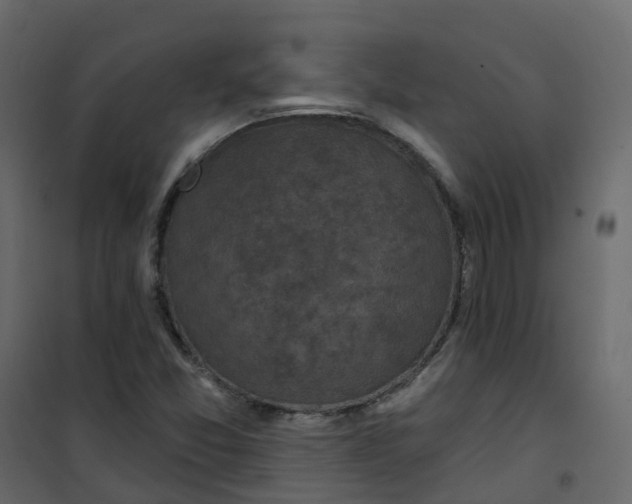 X0000101091357200807171838