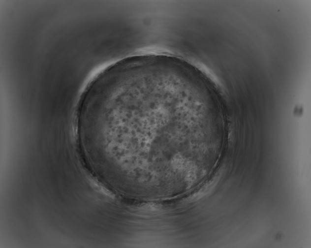 X0000101091358200807171838