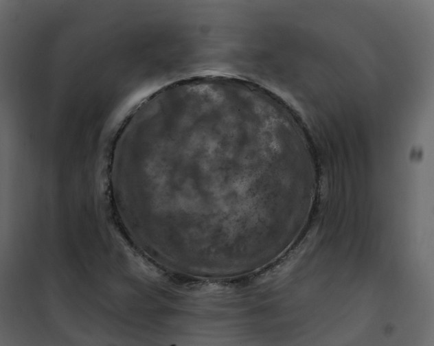 X0000101091359200807171838