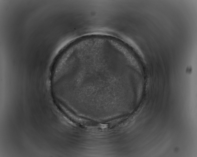 X0000101091360200807171838