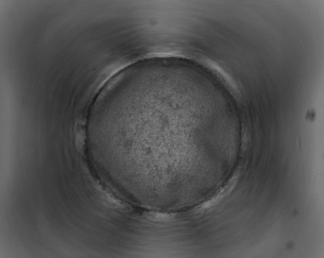 X0000101091361200807171838