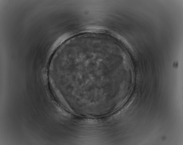 X0000101091362200807171838