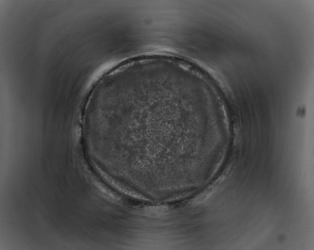 X0000101091363200807171838