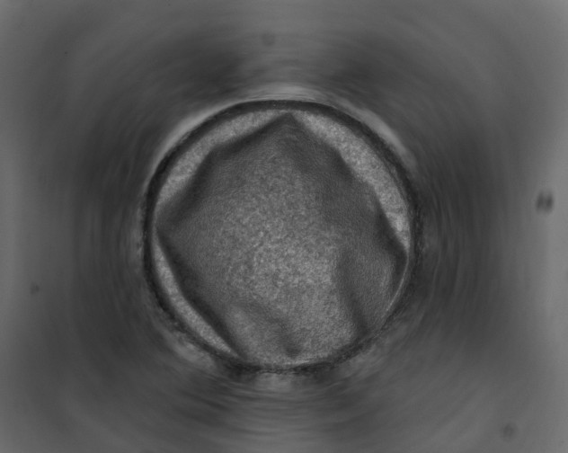 X0000101091364200807171838