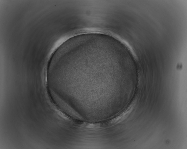 X0000101091365200807171838