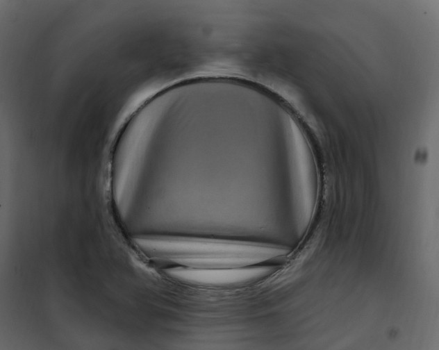 X0000101091366200807171838