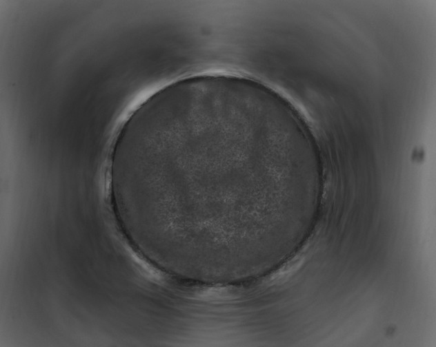 X0000101091367200807171838