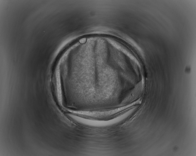 X0000101091368200807171838