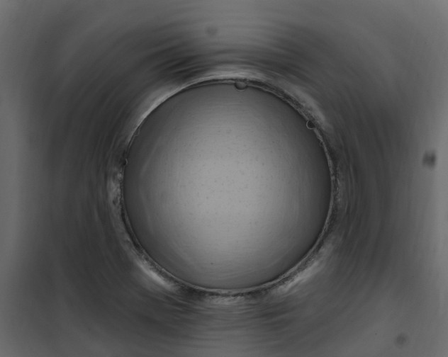 X0000101091369200807171838