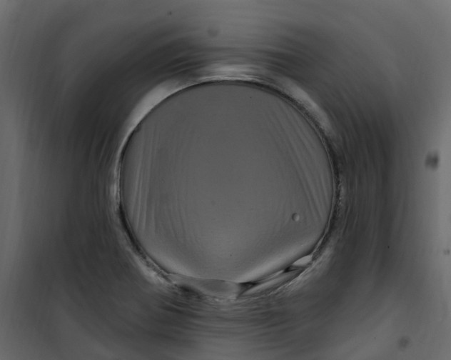 X0000101091370200807171838