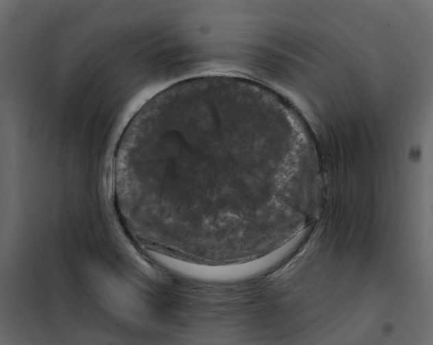 X0000101091371200807171838