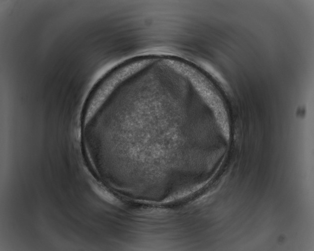 X0000101091372200807171838