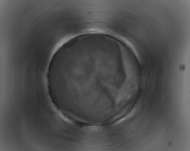 X0000101091373200807171838