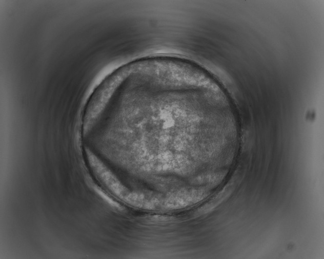 X0000101091374200807171838