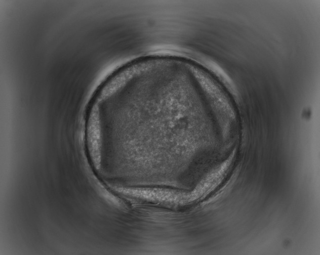 X0000101091376200807171838