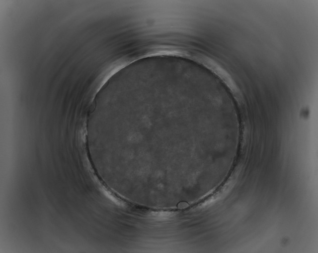 X0000101091377200807171837