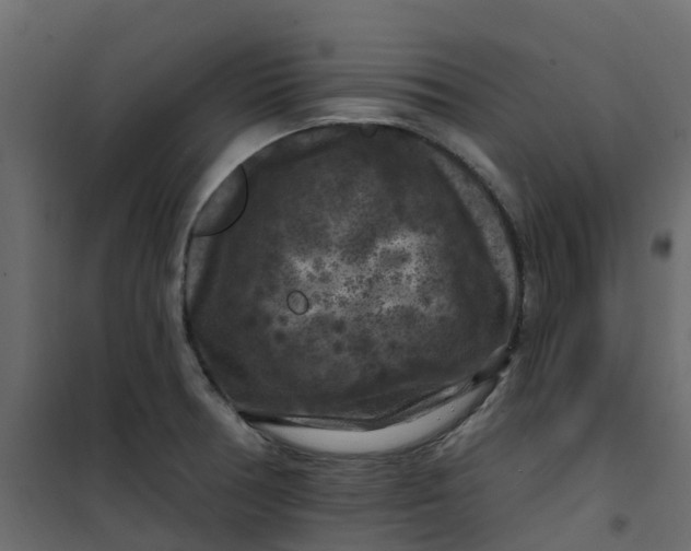 X0000101091378200807171837