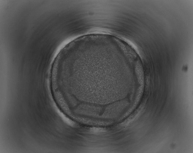 X0000101091379200807171837