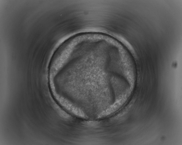 X0000101091380200807171837