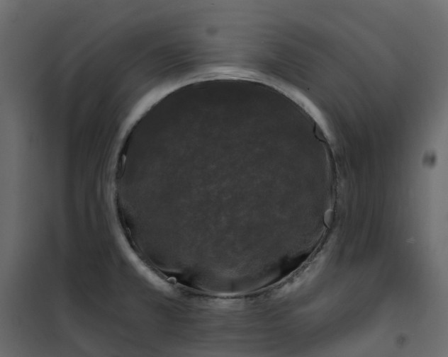 X0000101091381200807171837