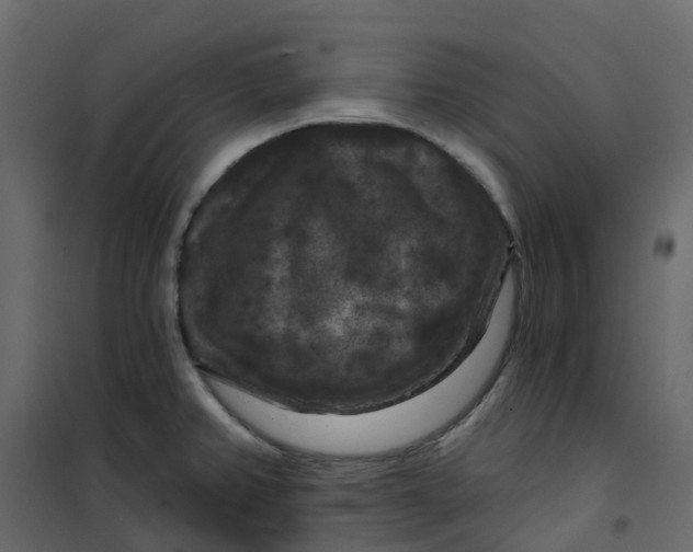 X0000101091382200807171837