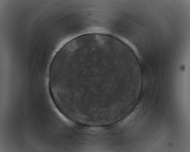 X0000101091383200807171837