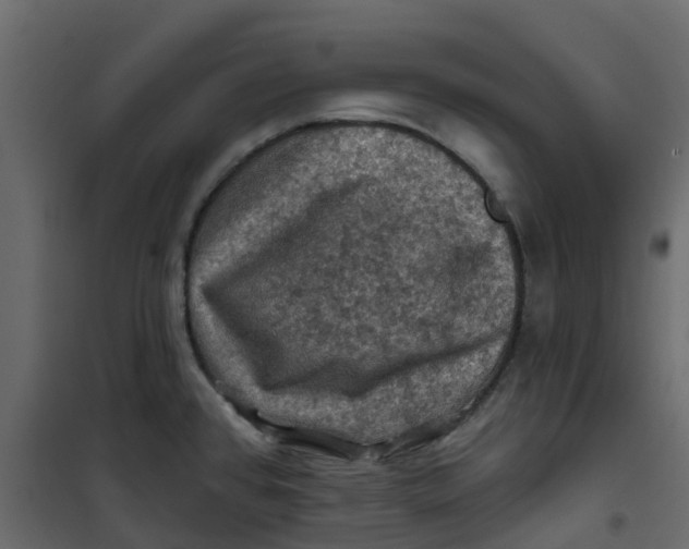 X0000101091384200807171837