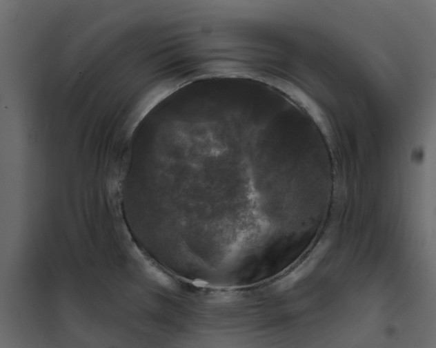 X0000101091385200807171837