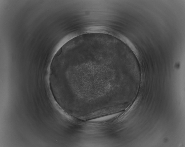 X0000101091386200807171837