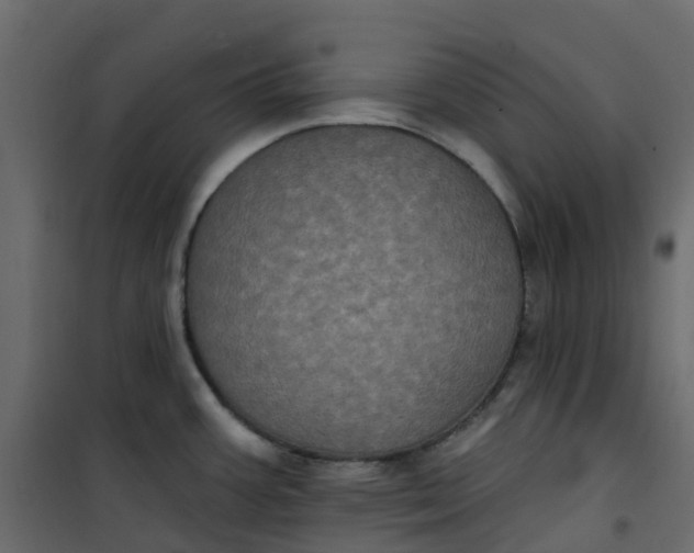 X0000101091387200807171837