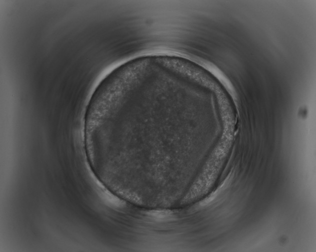 X0000101091388200807171837