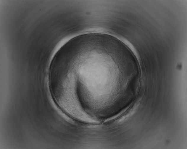 X0000101091389200807171837