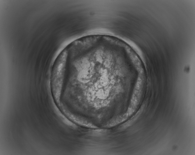 X0000101091390200807171837