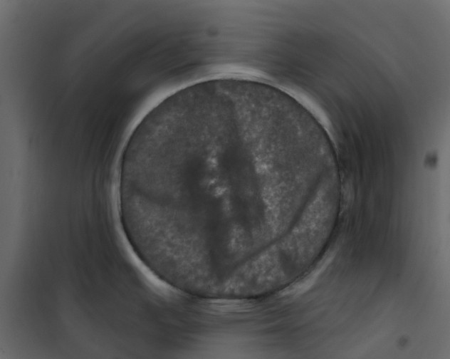 X0000101091391200807171837