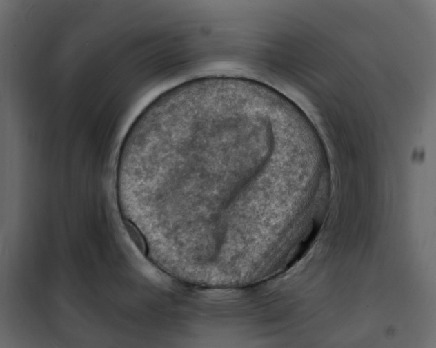 X0000101091392200807171837