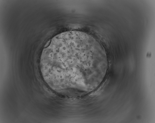 X0000101091393200807171837