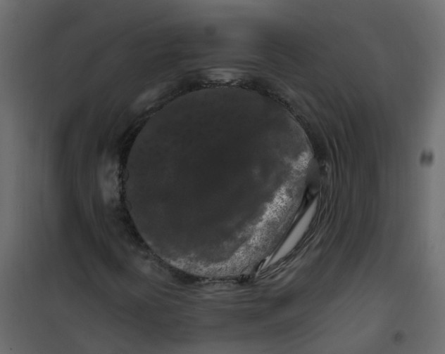 X0000101091394200807171837