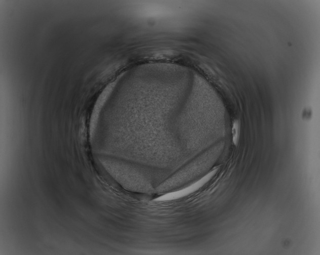 X0000101091395200807171837