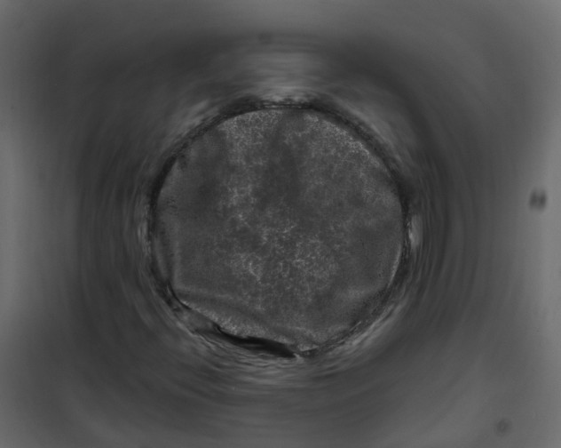 X0000101091396200807171837